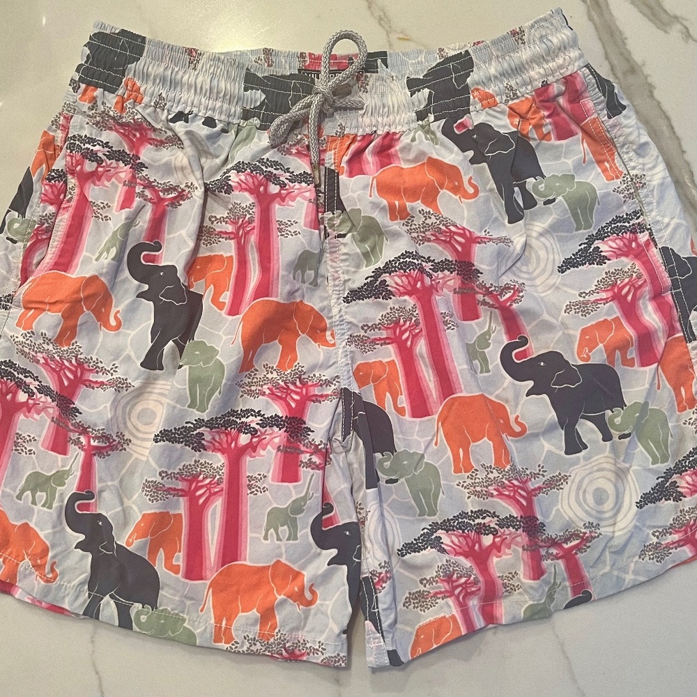Vilebrequin swim trunks